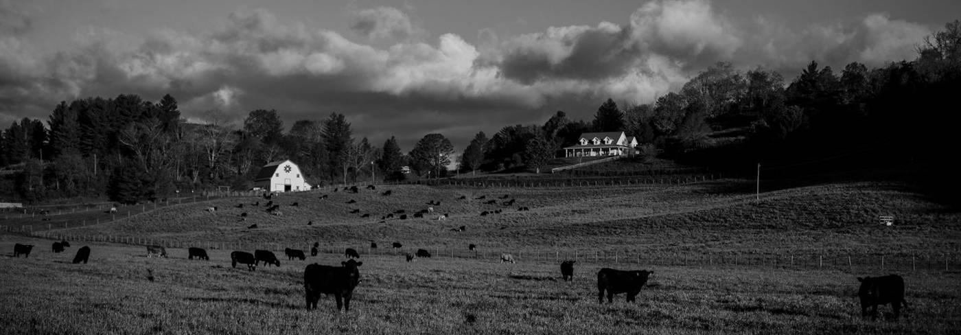 Featured Image for GRAYSON NATURAL FARMS LLC